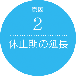 休止期の延長